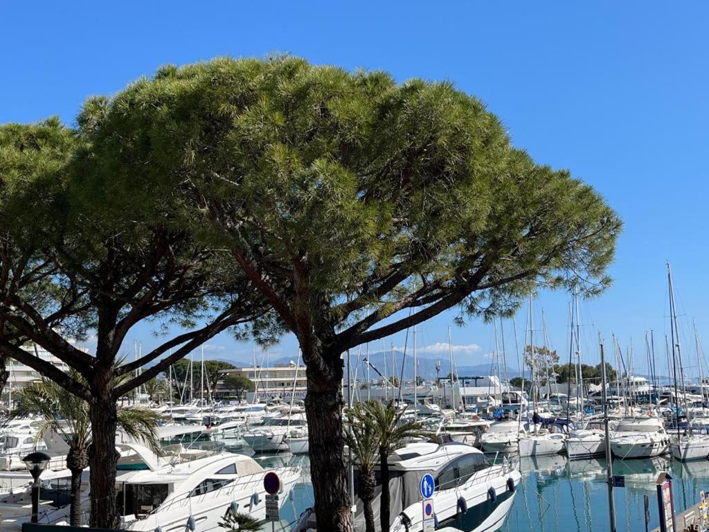 4 Pers , 100M De La Plage Marina Baie Des Anges French Riviera Вилньов Любе Екстериор снимка